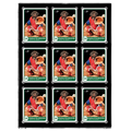 35PT 9-Card Black Border UV ONE-TOUCH Magnetic Holder