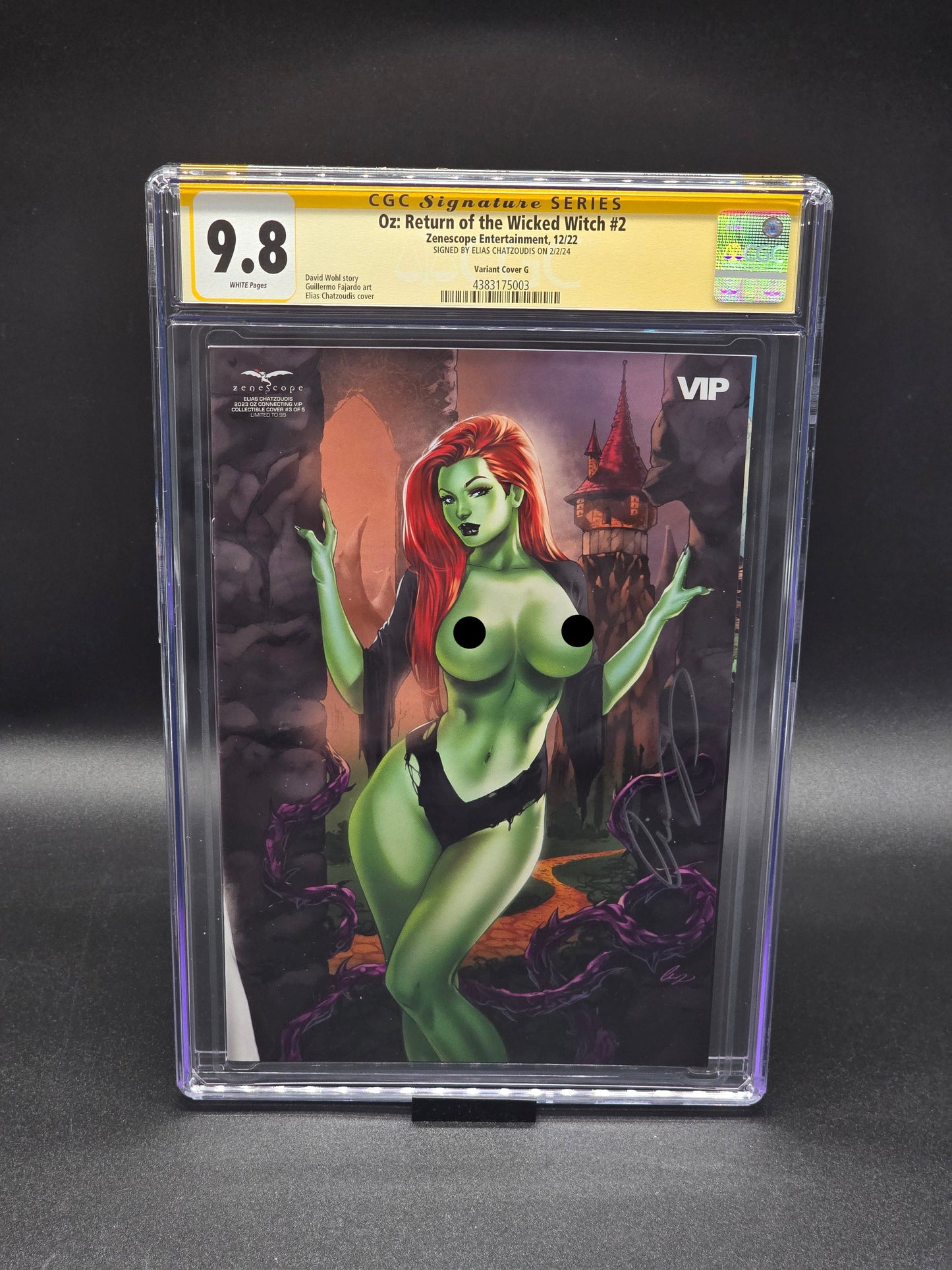Oz Connecting VIP Collectible Cover 1-5 set 2022-2023 ZRated cover CGC SS 9.8 signed by Elias Chatzoudis