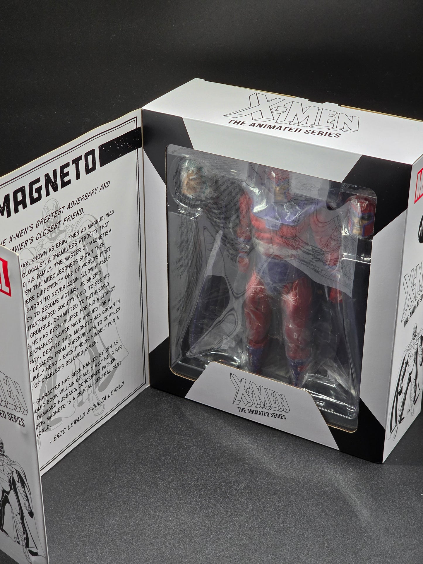 Magneto Mondo X-Men Animated series