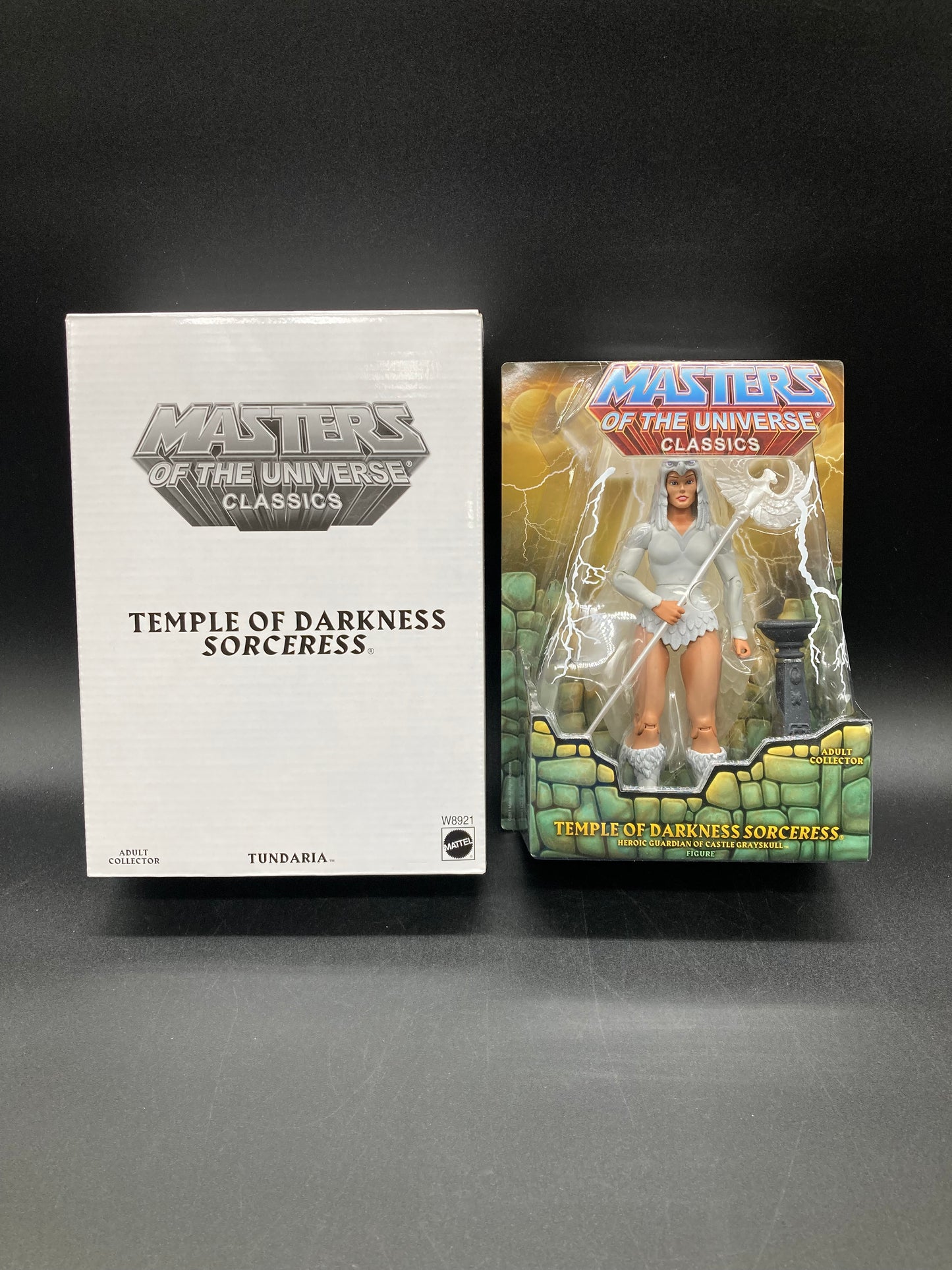 "Sorceress" (Temple of Darkness) Masters of the Universe: Classics Action Figure (with collectors box) Mattel 2011