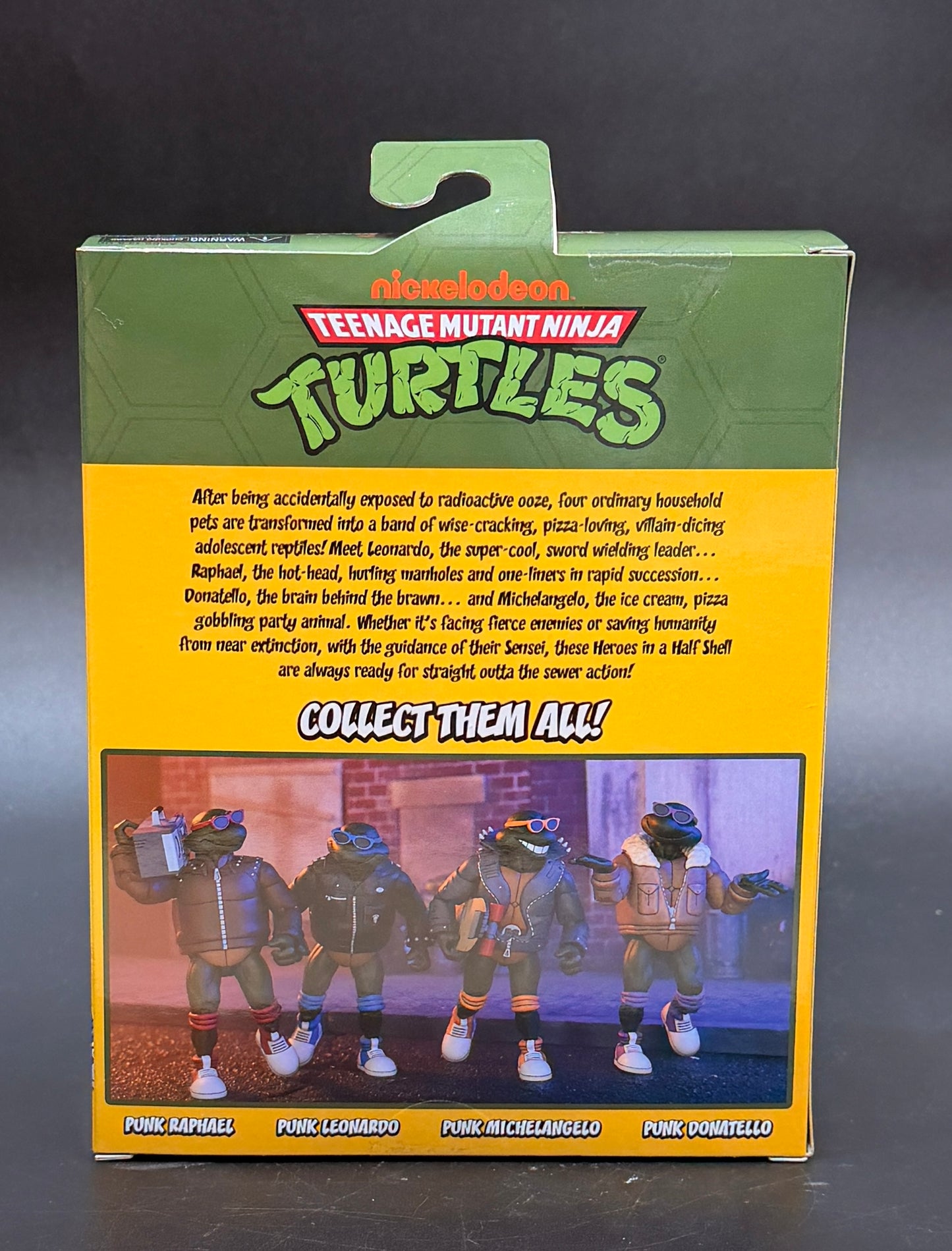 Punk Leonardo Teenage Mutant Ninja Turtles Action Figure NECA 2026