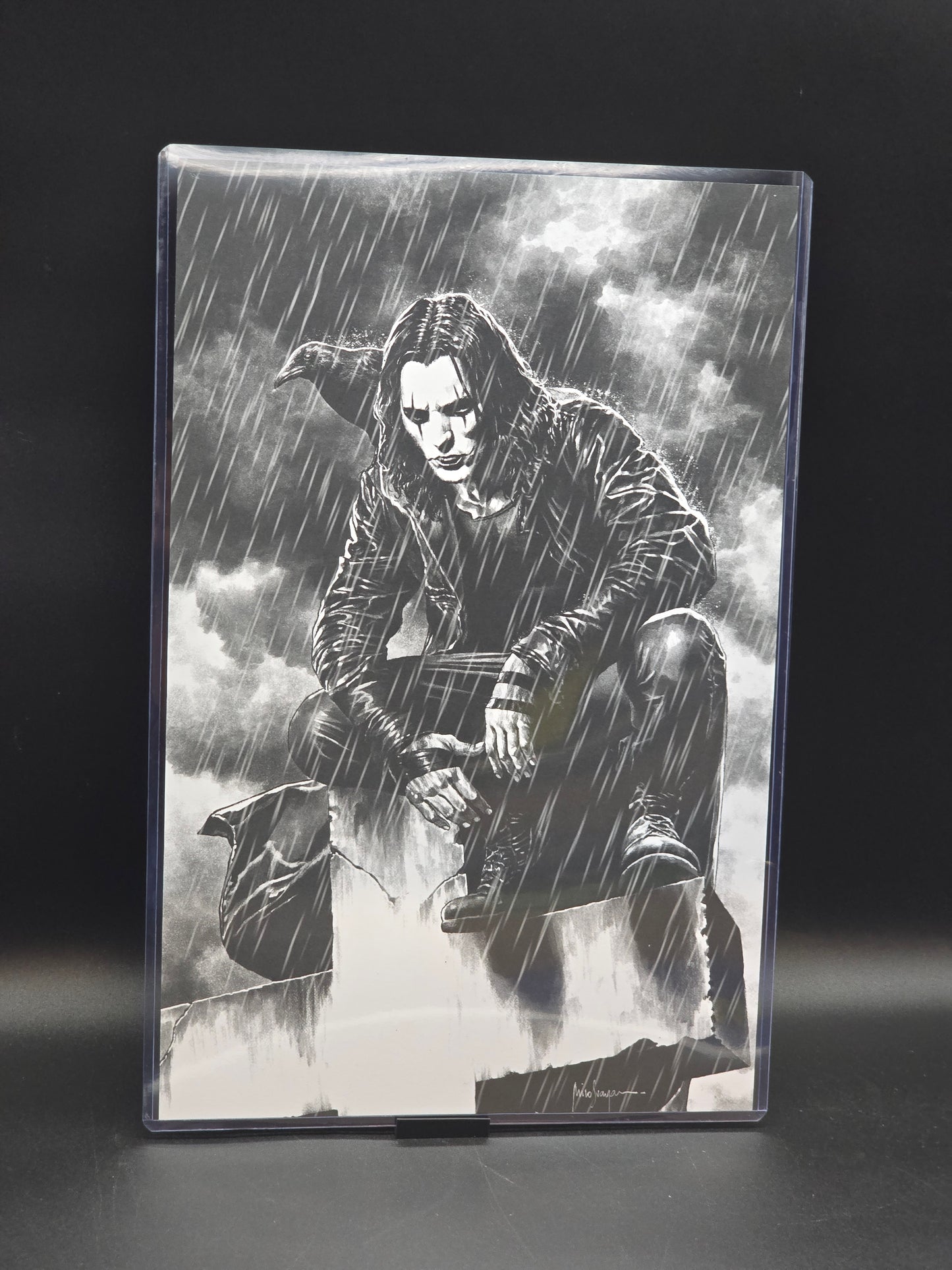 The Crow Art Print