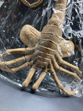 ALIENS Life-Size Facehugger NECA Collectible Prop