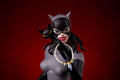 Catwoman Mondo Batman Animated series