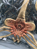ALIENS Life-Size Facehugger NECA Collectible Prop
