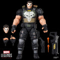 The Punisher Marvel Legends: Rivals Action Figure Hasbro 2026
