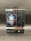 Robin McFarlane DC Multiverse Batman & Robin Figure Mr. Freeze BAF 2023