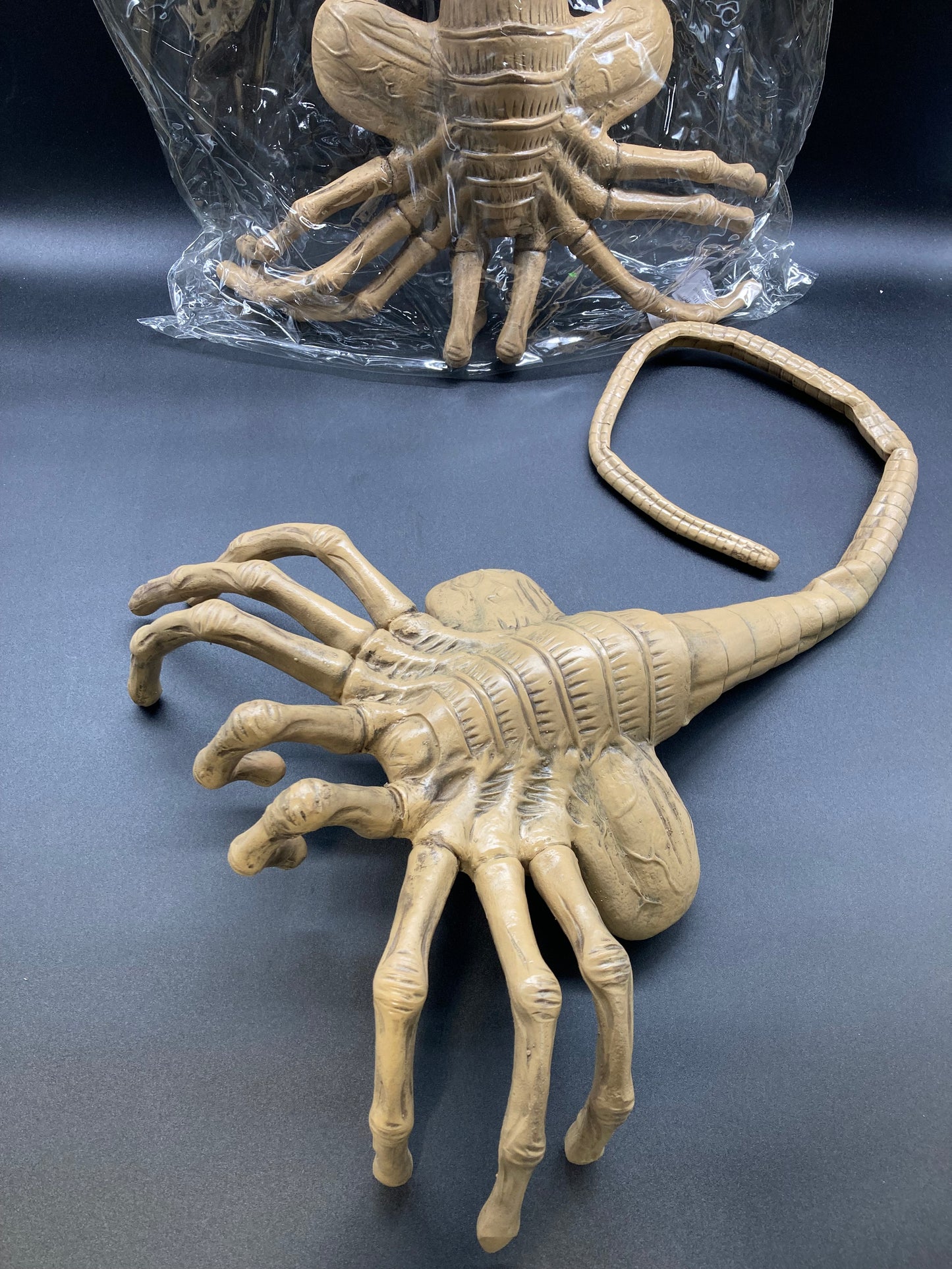 ALIENS Life-Size Facehugger NECA Collectible Prop
