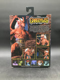Brooklyn NECA Disney Gargoyles Ultimate Action Figure