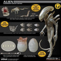 Alien One:12 Xenomorph Concept Edition Exclusive Figure