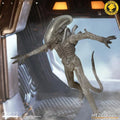 Alien One:12 Xenomorph Concept Edition Exclusive Figure