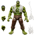 Hulk Spider-Man: Brand New Day Marvel Legends Action Figure Hasbro 2026