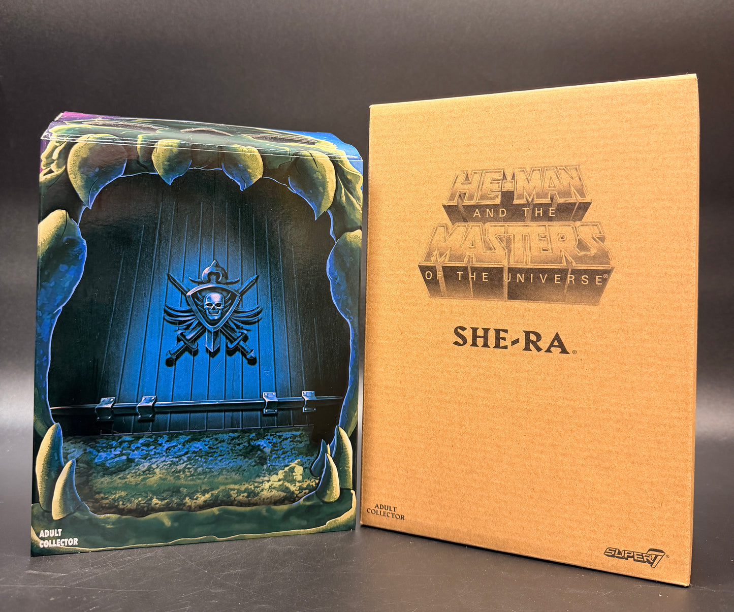 She-Ra (Club Grayskull Edition) Masters of the Universe Classics Action Figure – Super7 (2018)
