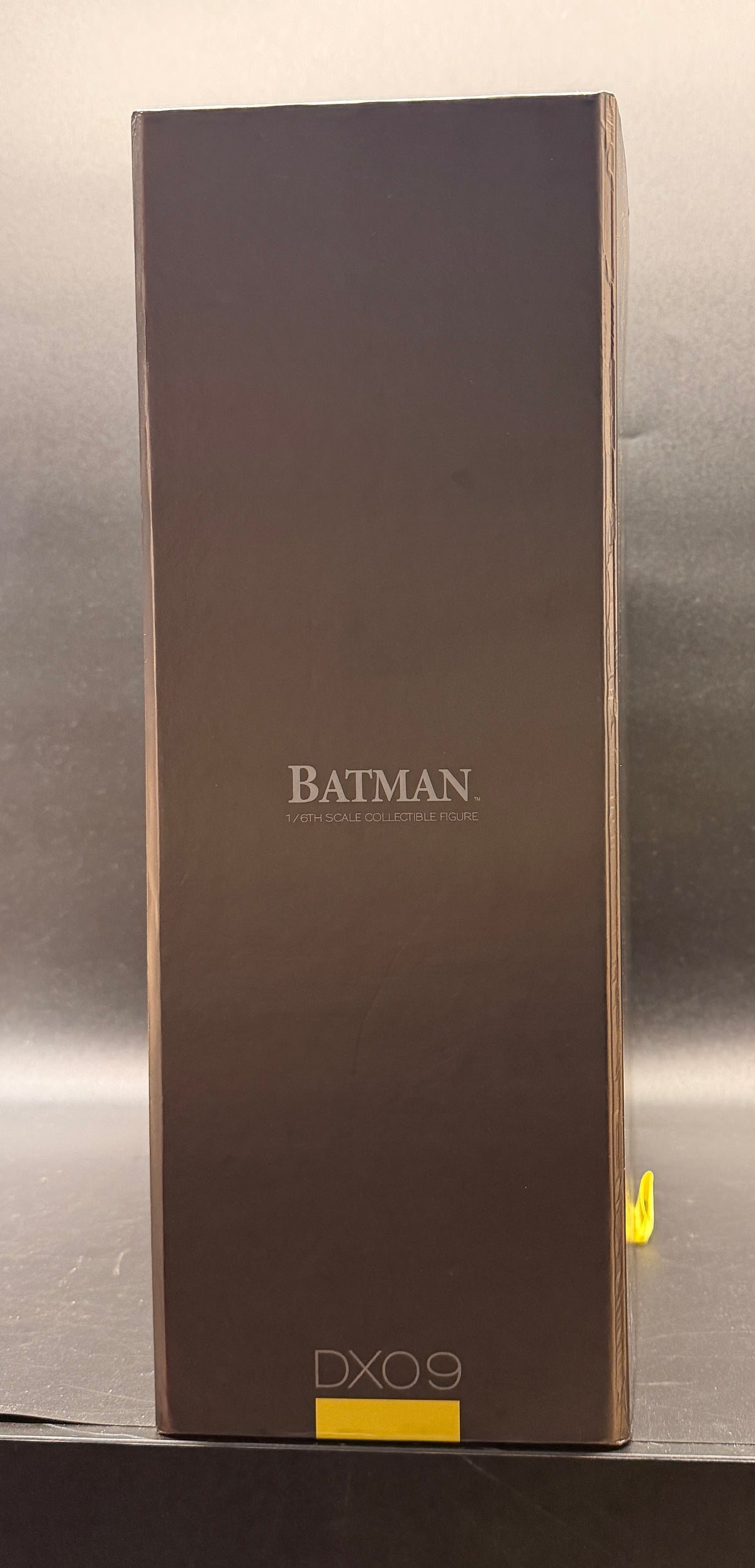 Batman (1989) Movie Masterpiece DX 1:6 Scale Action Figure Hot Toys 2012