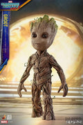 Groot HotToys 1/1 LMS004 Guardians of the Galaxy Vol 2Action Figure